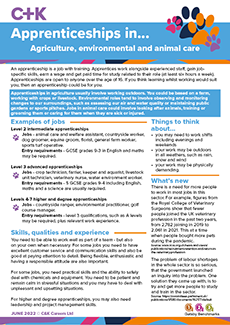 Apprenticeships in... 2022